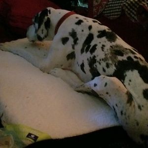 Meet your Posher, Jane